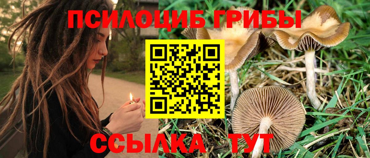 Псилоцибиновые грибы MAGIC MUSHROOMS Павловский Посад